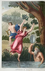 Phébus et Daphné ou Apollo e Dafne, illustration des Métamorphoses d